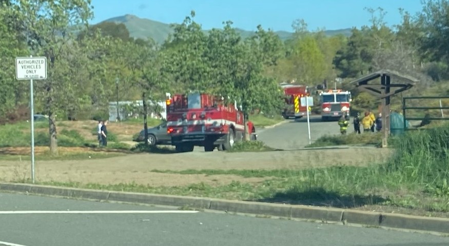 rescue